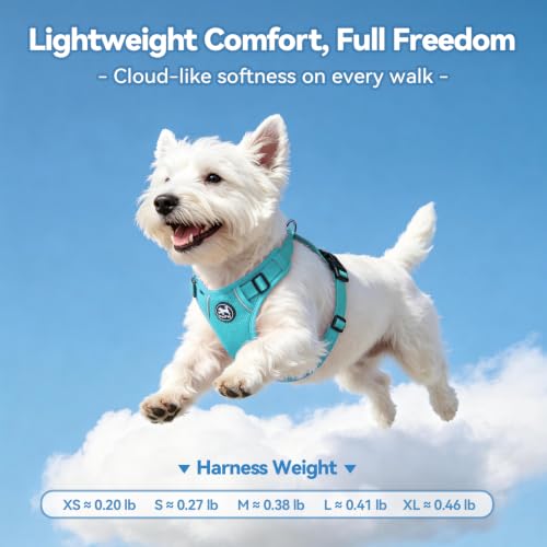 PoyPet Mesh Dog Harness, Reflective Breathable Puppy Vest for Small Dogs - color: Blue, size: XS