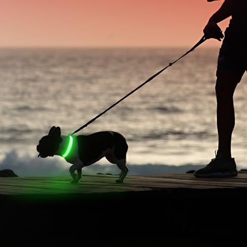 Illumifun Light Up Dog Collar - USB Rechargeable LED Dog Collar, Adjustable Lighted Pet Safety Collar for Night Walking (GreenⅢ, Small) - color: GreenⅢ, size: Small