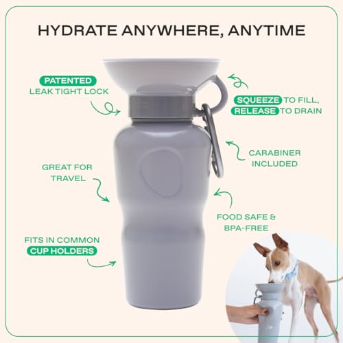 Springland 22oz Classic Portable Dog Water Bottle with Built-in Bowl, Gray - color: Gray, size: 22oz Classic