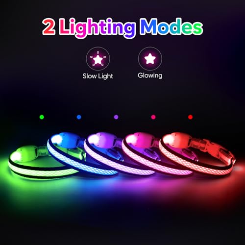 Flashseen LED Dog Collar, Light Up Dog Collar USB Rechargeable, Red, XS - color: Red, size: X-Small