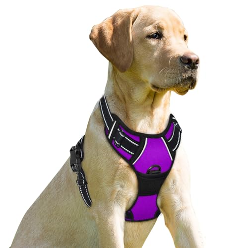 BARKBAY Dog Harness No Pull for Small Sized Dog Front Back Clips,Dog Vest - color: Purple, size: X-Small(Chest:15.5-19.5”)