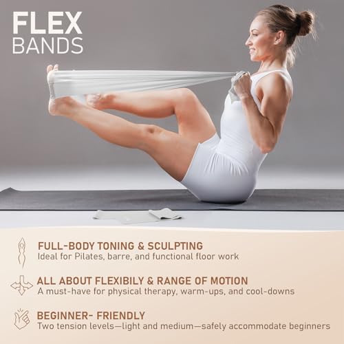 PhysKcal Pilates Kit, 15-Inch Pilates Ring with 1x Pilates Ball & 5X Bands - color: Mist
