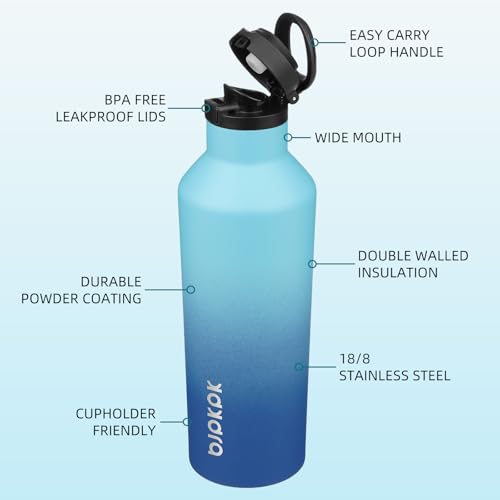 BJPKPK 25oz Insulated Thermal Water Bottle, Straw & Handle, Stainless Steel - color: Sky, size: 25 Ounces