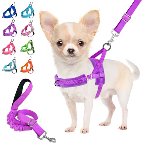 Lukovee Small Dog Harness and Leash Set, No Pull Soft Padded, 4ft Leash,XXS - color: A-Purple, size: XXS ( Chest 11.5'' ~ 15'')