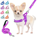 Lukovee Small Dog Harness and Leash Set, No Pull Soft Padded, 4ft Leash,XXS - color: A-Purple, size: XXS ( Chest 11.5'' ~ 15'')