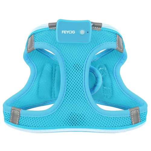 Light Up Dog Harness, Rechargeable LED Dog Harness for Small Medium Dogs - color: Blue, size: M