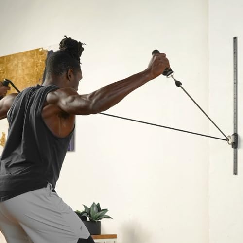 Space Saver Gym Resistance Bands Wall Anchor for At Home Fitness Workouts with 1 Rail and 1 Rail Car - style: 5 Resistance Bands, 1 Set of Handles