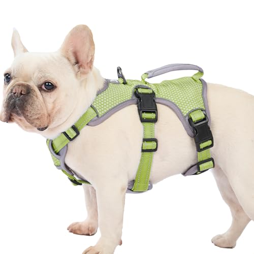 Huntboo Escape Proof Dog Harness, Dachshund Harness, Reflective Dog Harness with Handle, Durable,Adjustable Vest for Small Medium Large Dogs Walking, Training, and Running Gear (Green,M) - color: Green, size: Medium(Pack of 1)