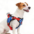 PUPTECK Dog Harness Small Sized Dog, Step in Adjustable Reflective Dog Vest Harness Escape Proof, No Pull Soft Padded Harness Easy Control, Star, S - color: Blue(Stars), size: S (CHEST: 13"-18")
