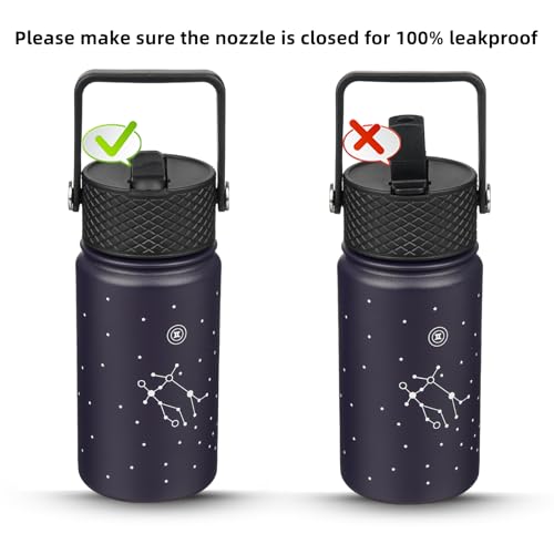 BJPKPK Insulated Water Bottle, 15oz Stainless Steel with Straw Lid - color: Gemini, style: 15oz