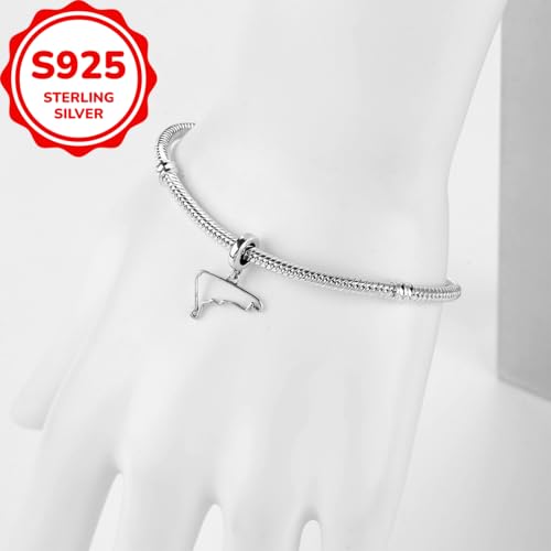 F1&Famous Race Racetrack Charm for Bracelet Necklaces, S925 Sterling Silver Charms, UK Brazil Spain Race Track Charms Jewelry Racing Souvenirs Gift - color: Race Racetrack Q3665
