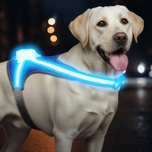 Light Up Dog Harness, Reflective Adjustable Dog Vest, No Pull Illuminated LED Harness for Dogs Night Walking Hiking Running, Waterproof,Lightweight(Large, Blue)