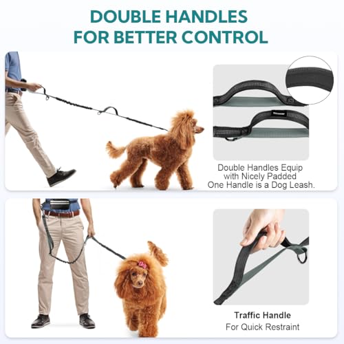 Hands Free Dog Leash for Two Dogs Walking, Running - color: Grey-Green, size: Large