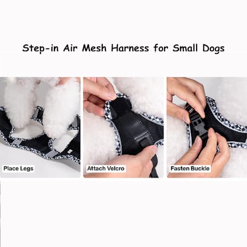 Petank Step in Dog Harness No Pull and Leash for Small Medium Dogs Cats. - color: Black, size: XXXS