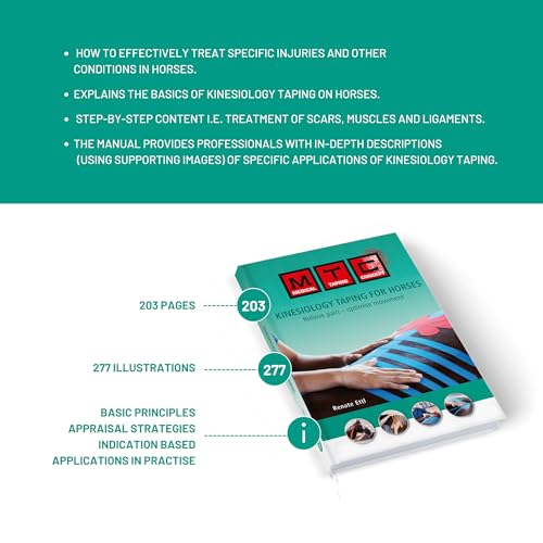 Canine & Equine Kinesiology Tape, Intro Offer 3 Size Tapes