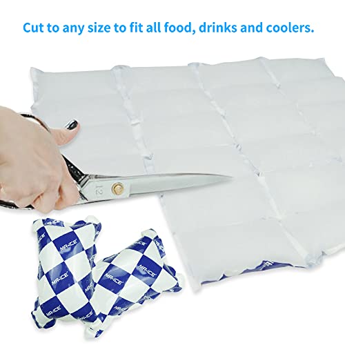 Reusable Dry Ice Packs for Shipping & Storage - Long Lasting Cold Packs for Lunch Box & Coolers - Ideal for Frozen Food & Drinks - style: 13"x14" 6 pcs(24 cells)