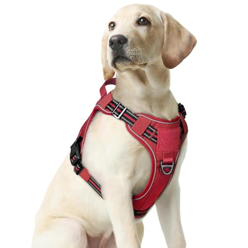 rabbitgoo Tactical Dog Harness Medium Sized, No Pull Service Pet Vest - color: Red, size: M(chest:20.1"-33.9",neck:17.7"-22.3",back:7.5")