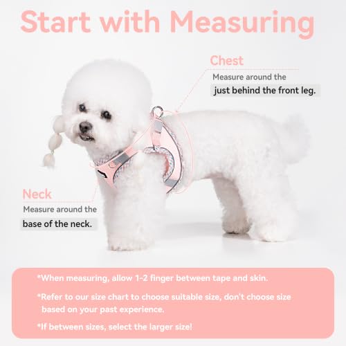 Petank Step in Dog Harness No Pull and Leash for Small Medium Dogs Cats. - color: Pink, size: XXS