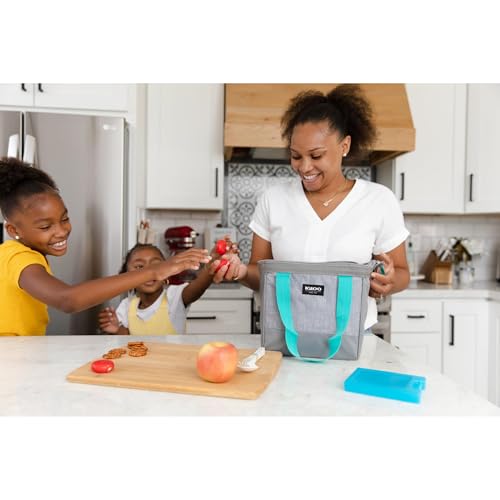 Igloo Maxcold Small Ice Block, 2-Pack, Blue - color: 2PK Small