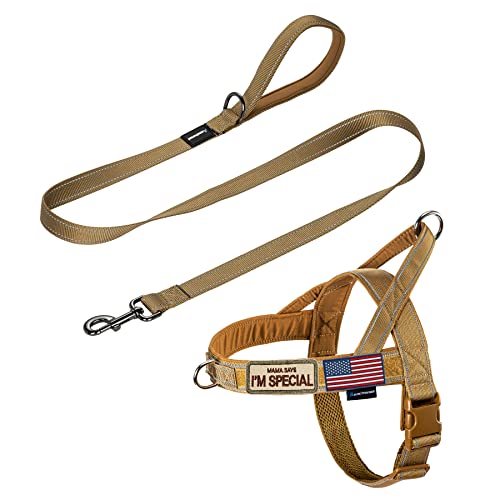 Annchwool No Pull Dog Harness with Padded Handle+5 Ft Leash(Brown-Set,S) - color: Brown Set, size: S
