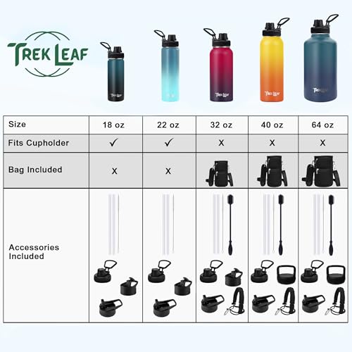 Travel Water Bottle with 3 Lids (Spout, Straw, Flip) Leak Proof, Quality, Vacuum Insulated, Stainless Steel (Cascade Shadow, 22 oz) - color: Cascade Shadow, size: 22 Ounces