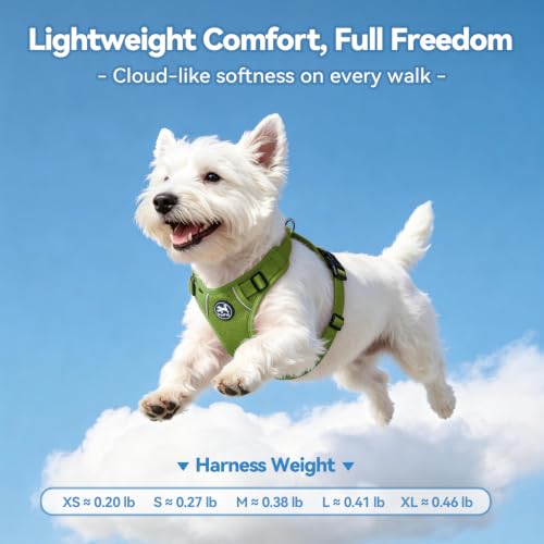 PoyPet Mesh Dog Harness, Reflective Breathable Puppy Vest for Small Dogs - color: Grass Green, size: S
