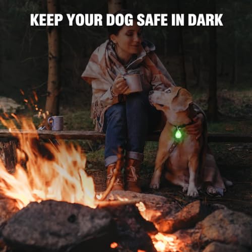 Novkin Rechargeable LED Dog Collar Lights, Waterproof with 3 Modes - For Running, Climbing, Camping - color: Blue&Green