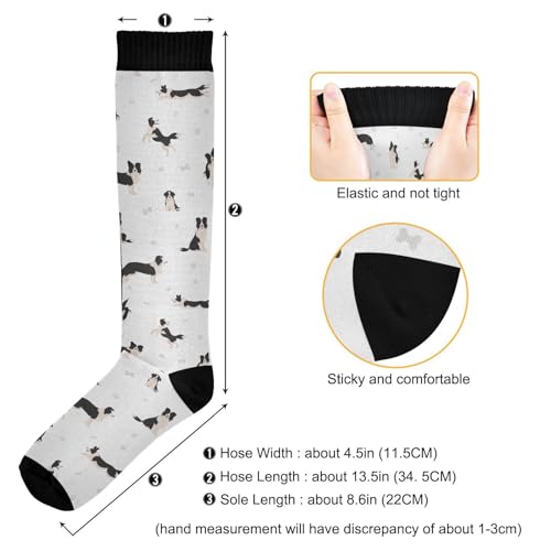 Compression Socks for Women & Men Knee High Socks - color: Border Collie Dog