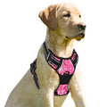 BARKBAY Dog Harness No Pull for Small Sized Dog Front Back Clips,Dog Vest - color: Pink Camo, size: X-Small(Chest:15.5-19.5”)
