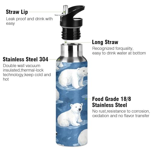 OTVEE Cartoon Polar Bear Water Bottle Sports Water Bottle Insulated Stainless Steel Hot Cold Water Mug with Straw Lid & Handle for Sports Gym 20 oz - color: Cartoon Polar Bear