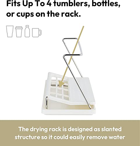 carrotez Bottle Drying Rack with Drain Tray, White - color: White