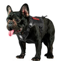 OneTigris Tactical Dog Harness with Handle for Small Medium Dogs Black S - color: Black, size: Small