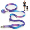 Spark Paws Hands Free Dog Leash - Bungee Waist Belt for Running & Walking - color: 90s Retro