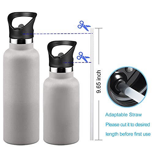 RRegeny Straw Lid fits Hydro Flask Standard Mouth, 21 24 oz, Sports Flex Cap Water Bottle Accessories Replacement Top - color: Crown Lid+1pack