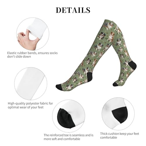 Cute Dog Compression Socks Women Men, Dog Lover Gift - color: Australian Shepherd