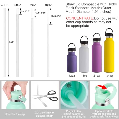Dew Straw Lid for Hydro Flask Standard Mouth 18 21 24 oz, Replacement Sport Cap with Handle, BPA-Free Straw Lid with 2 Straws + Brush, for Office School Travel Daily Commute - color: Dew