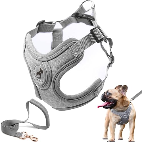Dog Harness with Leash Set, No Pull Adjustable Step in Pet Vest - color: Gray, size: S