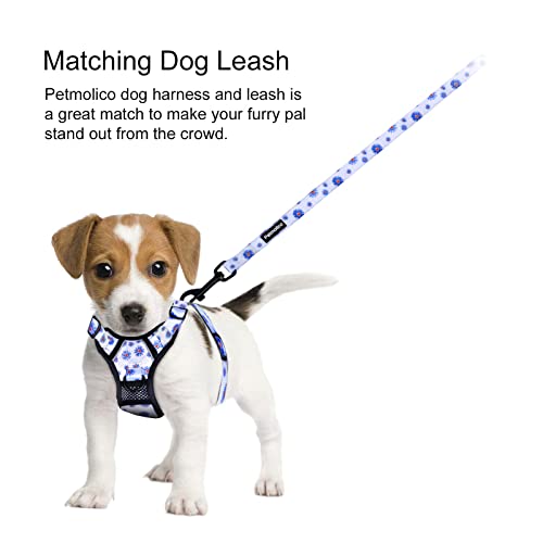 Petmolico No Pull Dog Harness and Leash Set with 4 Clips, Daisy, Medium - color: Dasiy, size: Medium