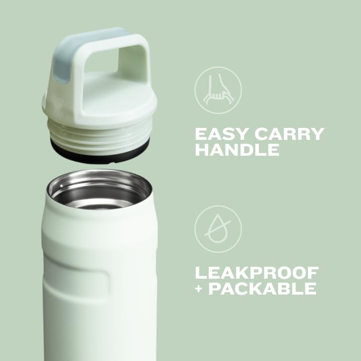 Stanley IceFlow Cap and Carry Water Bottle | Wide Mouth Twist Lid | Lightweight & Leakproof for Travel & Sports | Insulated Stainless Steel | BPA-Free - color: Lavender, style: 36 Oz