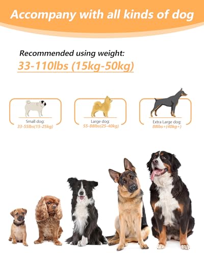 Hands Free Dog Leash, Multifunctional Crossbody Dog Leash - color: Gray, size: Large-5.9-9.5ft
