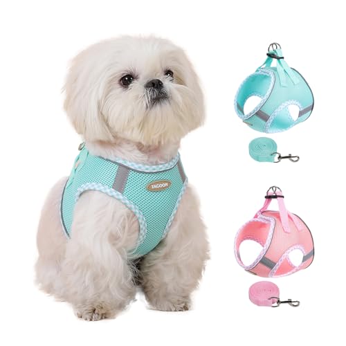 Dog Harness and Leash Set, Soft Breathable Mesh Doggy Vest, Adjustable No-Pull Chest Harness with Reflective Trim, Walking Set for Small & Medium Size Pet & Mini Poodle Puppy, L Size Green - color: GREEN, size: L