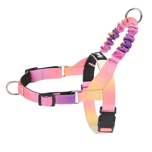 PUPTECK No Pull Dog Harness Small Sized Dog, Adjustable Reflective Pet Vest Harness with Bungee Handle, Escape Proof No Choke Harness for Small Dogs Walking Training, Pink & Purple M - color: Pink & Purple, size: M (NECK: 16.5"-19.5", CHEST: 21.5"-28")