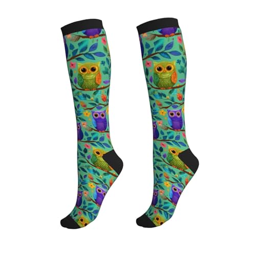 Compression Socks Circulation 15-20 Mmhg Knee High - color: Owls