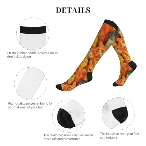 Compression Socks Knee High Circulation Support Socks For Women Men Athletic Running Work Hiking Cycling Travel - color: Animal