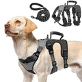 PUPTECK Escape Proof Dog Harness and Leash Set Upgraded No Pull Reflective Dog Vest with Lift Handle, Easy Control Pet Harness for Medium Large Dogs Training Walking Running - color: Grey/Black, size: Medium
