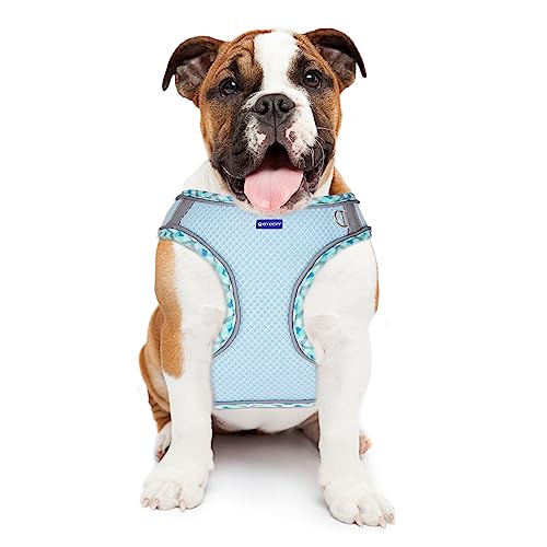 Step in Mesh Dog Harness and Leash Set Breathable Air Mesh Harness - color: Blue, size: XXS(neck:8.5"-9.5",chest:10"-11.5")