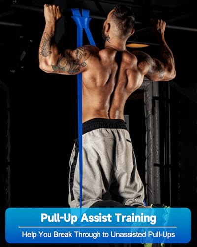 Resistance Bands Set, Pull Up Assist Bands - Stretch Resistance Band - Mobility Band Powerlifting Exercise Bands for Resistance Training, Physical Therapy, Home Workouts - color: Quad-color