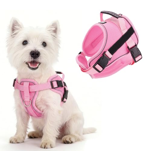 AIITLE No-Pull Dog Harness Reflective Mesh Vest Adjustable, Pink XS - color: Pink, size: XS