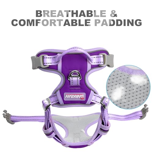 BARKBAY Dog Harness No Pull for Small Sized Dog Front Back Clips,Dog Vest - color: Violet Purple & Purple, size: X-Small(Chest:15.5-19.5”)