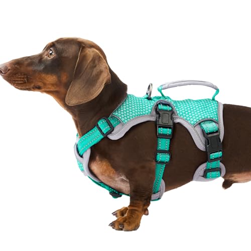 Huntboo Escape Proof Dog Harness, Dachshund Harness, Reflective Dog Harness with Handle, Durable,Adjustable Vest for Small Medium Large Dogs Walking, Training, and Running Gear (Mint Green,S) - color: Mint Green, size: Small(Pack of 1)